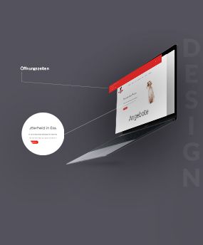 Das Nutzererlebnis durch Design fördern